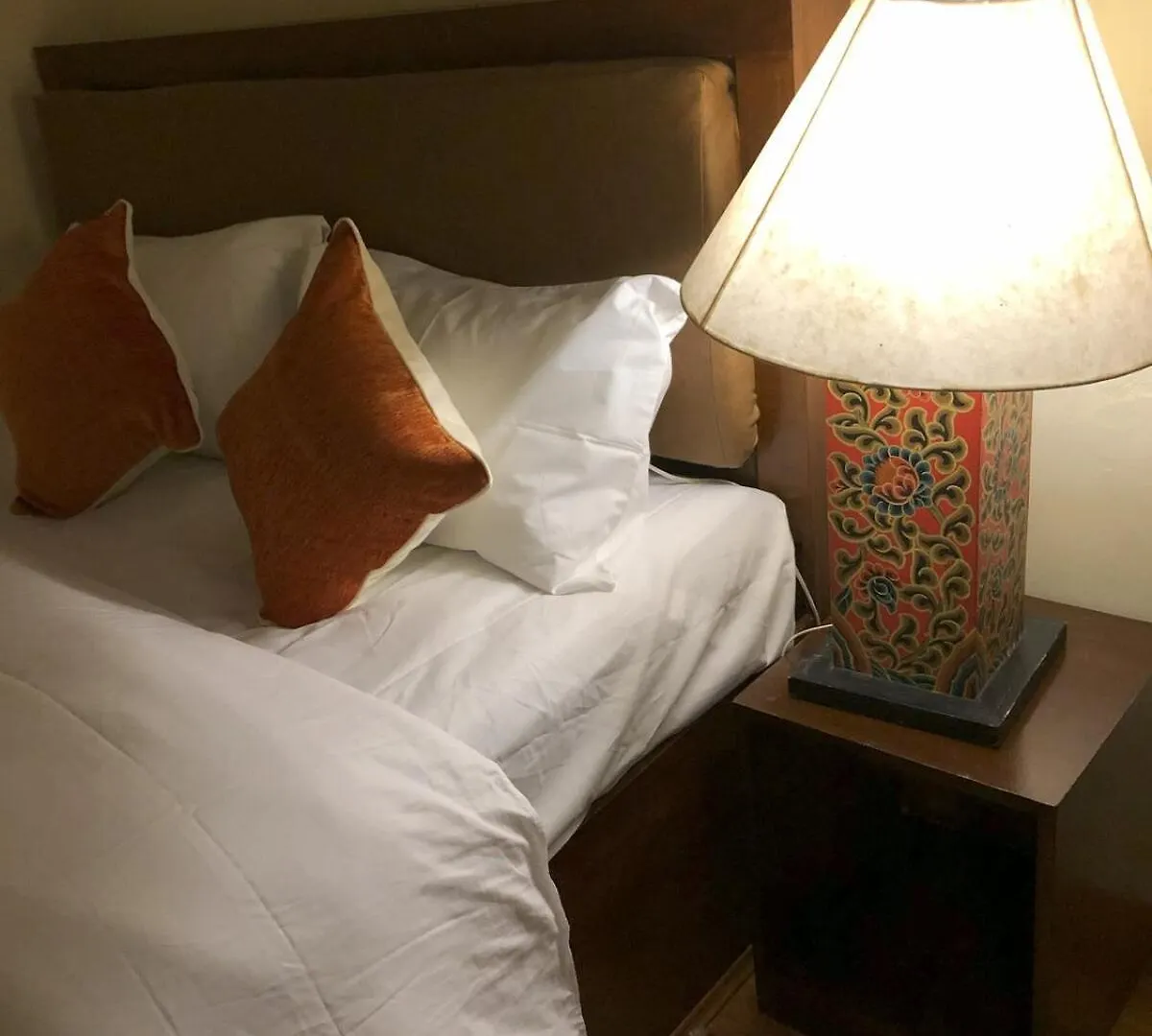 Zenith Apartments Thamel - Makalu 1Bhk Apartment Kathmandu