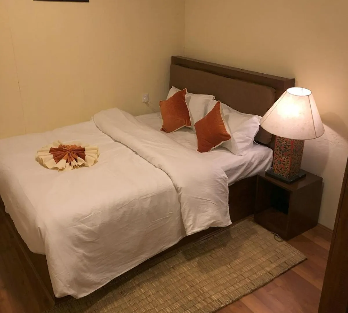 Zenith Apartments Thamel - Makalu 1Bhk Apartment Kathmandu