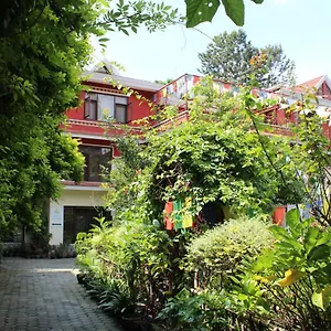 Rokpa Affittacamere